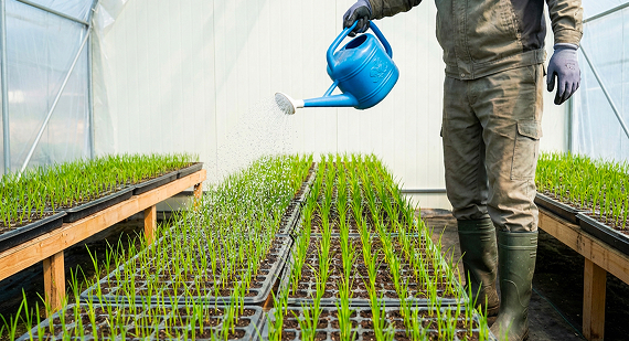 4月の施用イメージ