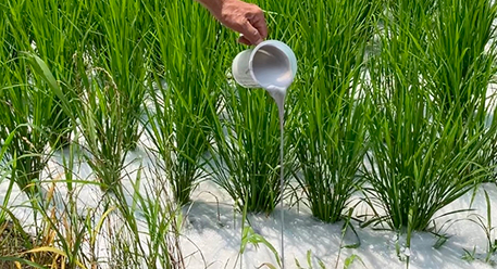 水口から注入する施用イメージ