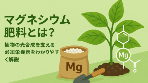 マグネシウム　肥料