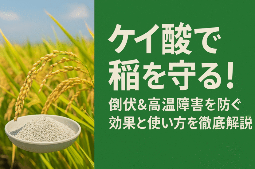 ケイ酸　肥料