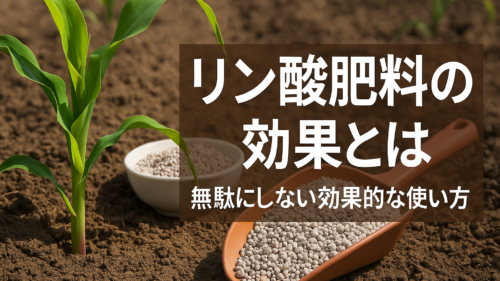 リン酸　肥料