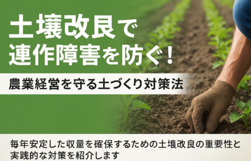 連作障害 対策