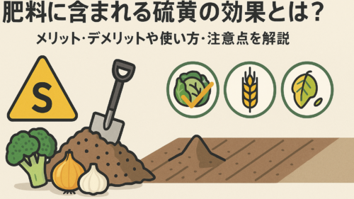 肥料 硫黄