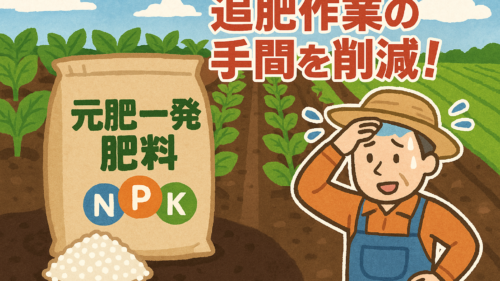 元肥一発肥料