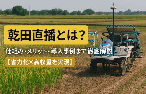乾田直播