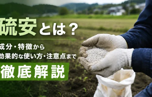 畑で白い粒状肥料を扱う農家の手元