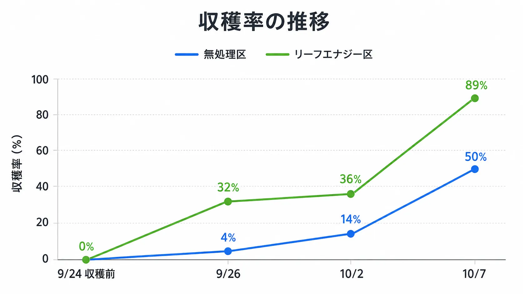 千葉県のキャベツ試験における無処理区とリーフエナジー区の収穫率の推移を示した折れ線グラフ